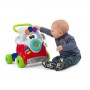 Chicco Gioco Primi Passi Happy Hippie Walker 5905 9m+