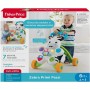 Fisher Price Zebra Primi Passi Elettronico con Musica e Suoni DLD91 6m+