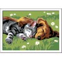 Ravensburger Creart Cane e Gatto Dolce Sonno Gioco Creativo 289301 7a+