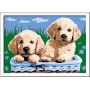 Ravensburger Creart Cani Retriever Gioco Creativo 289318 7a+