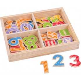 Numeri Magnetici per Bambini in Legno BJ266 Bigjigs 3 Anni+