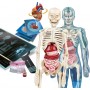 Clementoni Anatomia Super Corpo Umano Scienza e Gioco 19299 8 Anni+