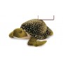 Peluche Tartaruga Gigante Verde 60 cm 23618 De.Car