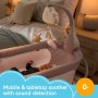 Fisher Price Giostrina Dolce Arcobaleno per Culla Fianco Letto o Lettino 0 Mesi+