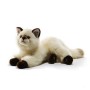 Peluche Gatto Siamese 40 cm Plush & Company 3 Anni+
